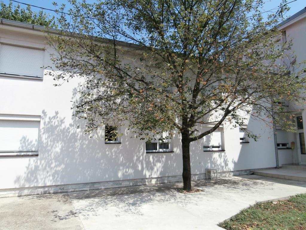 Guest House Talas Osijek Exterior photo